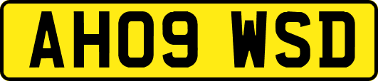 AH09WSD