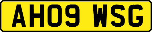 AH09WSG