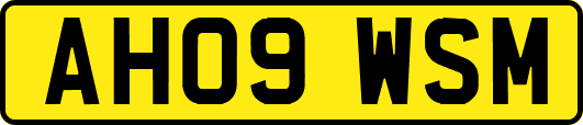 AH09WSM