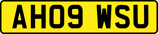 AH09WSU
