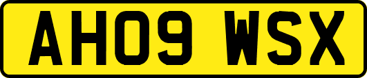 AH09WSX