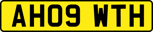 AH09WTH