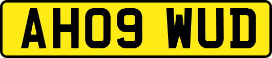 AH09WUD