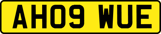 AH09WUE