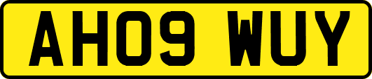 AH09WUY