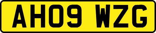 AH09WZG