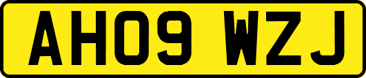 AH09WZJ