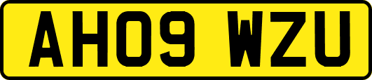 AH09WZU