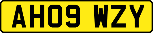 AH09WZY