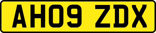 AH09ZDX