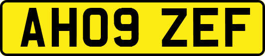 AH09ZEF