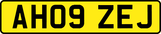 AH09ZEJ