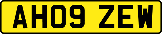 AH09ZEW