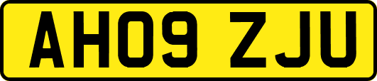 AH09ZJU