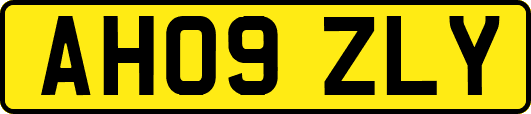 AH09ZLY