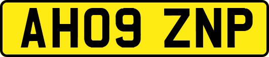 AH09ZNP