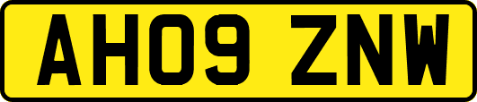AH09ZNW