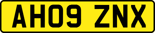 AH09ZNX