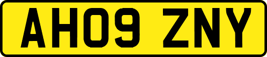 AH09ZNY