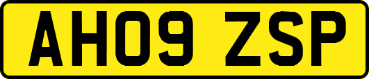 AH09ZSP