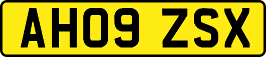 AH09ZSX
