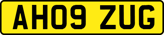 AH09ZUG
