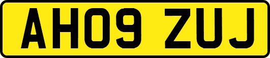 AH09ZUJ