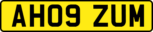 AH09ZUM