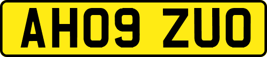 AH09ZUO