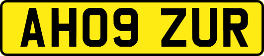 AH09ZUR