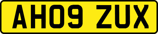AH09ZUX