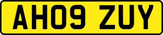 AH09ZUY