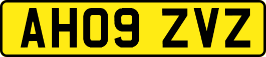 AH09ZVZ