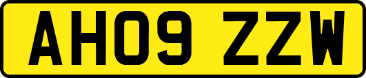 AH09ZZW