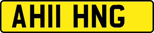 AH11HNG