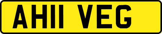 AH11VEG