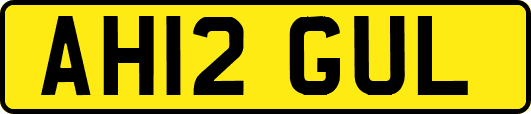 AH12GUL