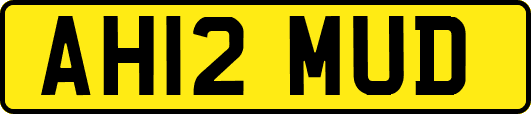 AH12MUD
