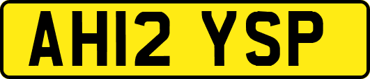 AH12YSP