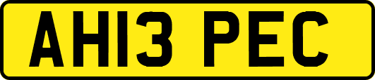 AH13PEC