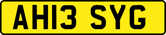AH13SYG