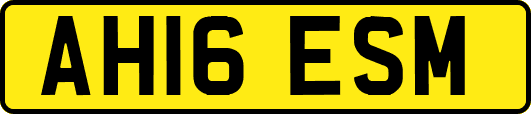 AH16ESM