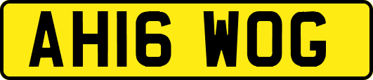 AH16WOG