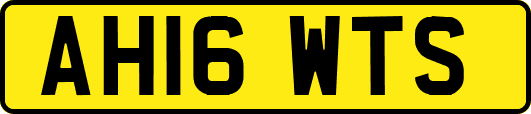 AH16WTS