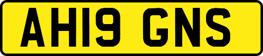 AH19GNS