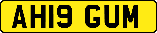 AH19GUM