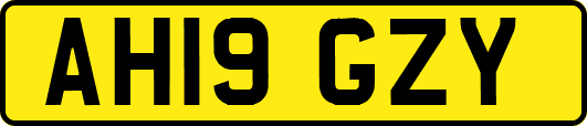 AH19GZY