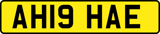 AH19HAE
