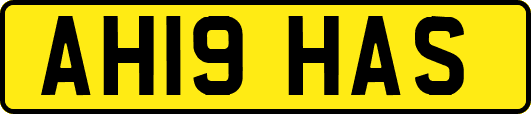 AH19HAS