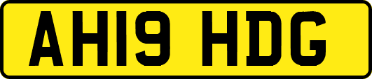 AH19HDG